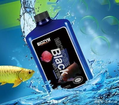 龍魚適合水質氨氮（關于龍魚適合的水質氨氮含量的相關信息）
