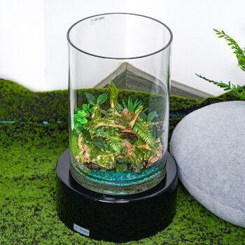 凡佰酷魚缸（凡佰酷超白玻璃魚缸設計注重實用性和美觀性和美觀）