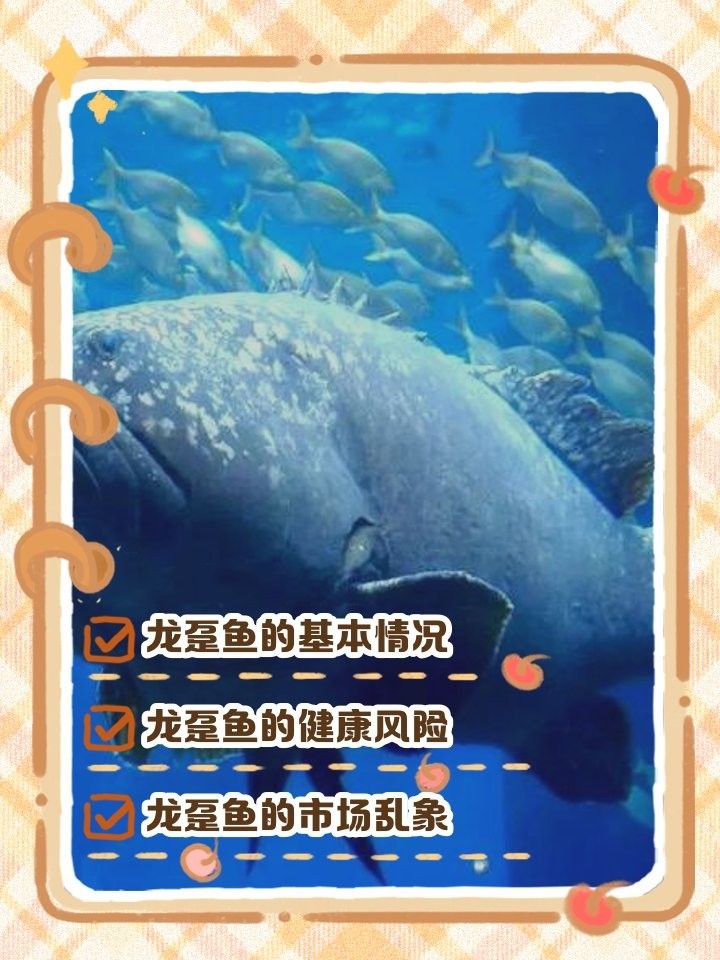 龍躉魚多久吃一次合適？