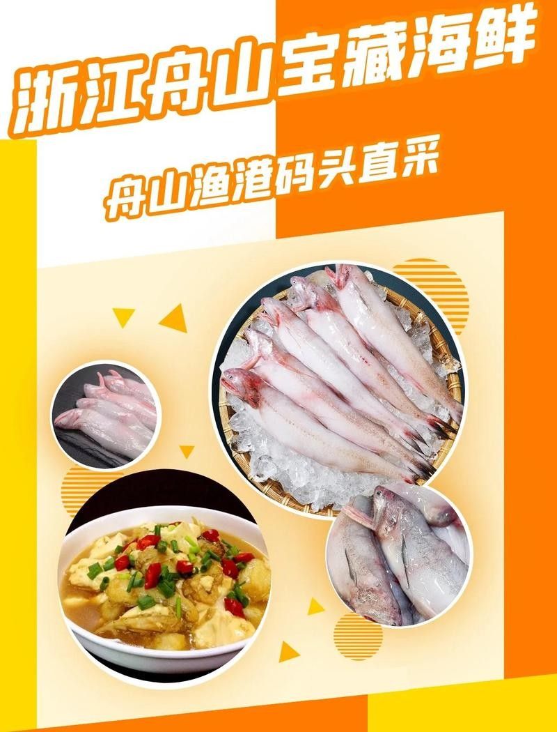 龍頭魚在哪些地區受歡迎？