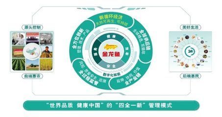 金龍魚的牌子有哪些系列的：金龍魚醬油的釀造工藝介紹 金龍魚的牌子有哪些系列的：金龍魚醬油的釀造工藝介紹 龍魚百科 第1張
