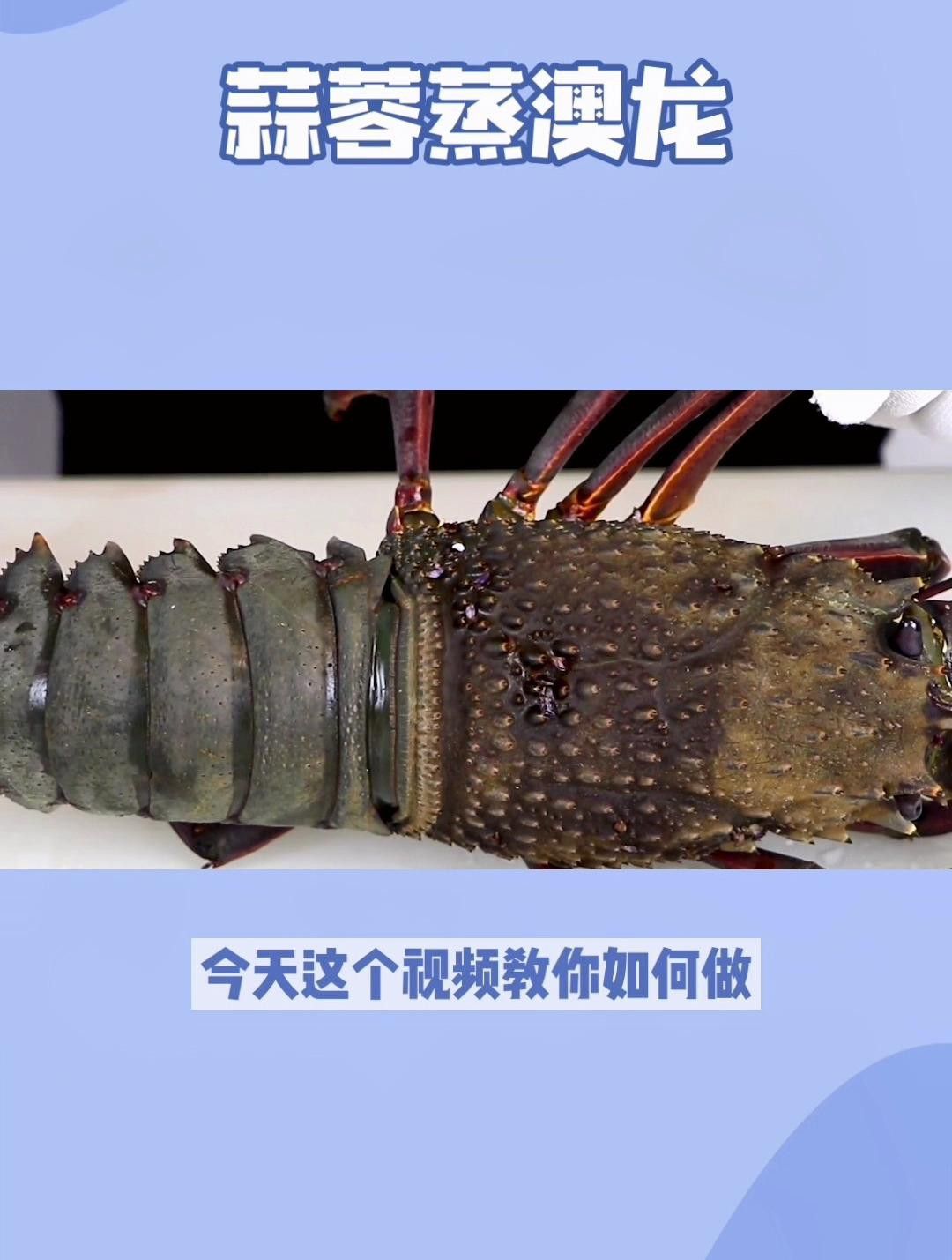 還有哪些澳龍的做法？