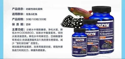 龍魚用藥注意事項圖片：龍魚用藥后水質管理步驟詳解龍魚用藥后水質管理