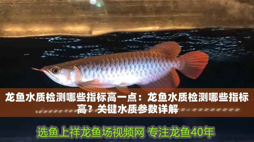 龍魚(yú)水質(zhì)檢測(cè)哪些指標(biāo)高一點(diǎn)：龍魚(yú)水質(zhì)檢測(cè)哪些指標(biāo)高？關(guān)鍵水質(zhì)參數(shù)詳解