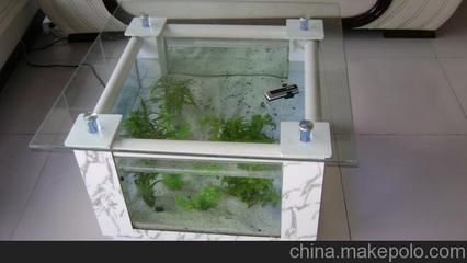 定做魚缸廠家 定做魚缸廠家 龍魚百科 第2張