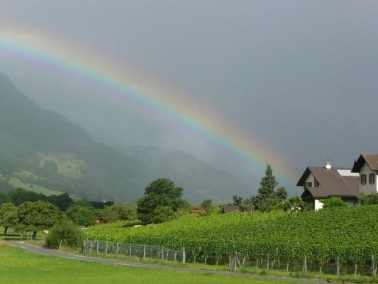 金龍魚福建經(jīng)銷商有哪些（金龍魚在福建地區(qū)擁有強(qiáng)大的經(jīng)銷商網(wǎng)絡(luò)金龍魚品牌信任度調(diào)查報(bào)告）