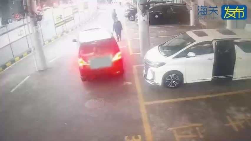 龍魚禁止進口了嗎