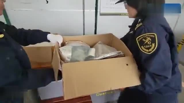 龍魚禁止進口了嗎