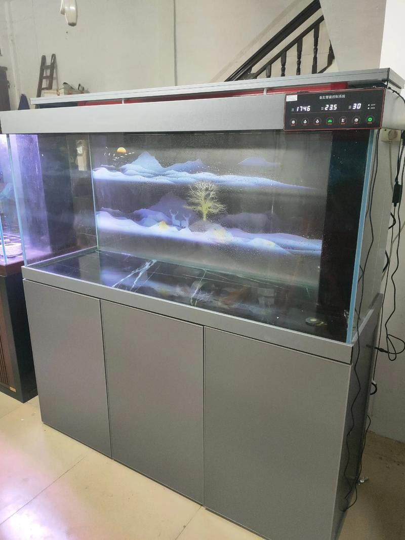 化骨龍魚圖片高清圖