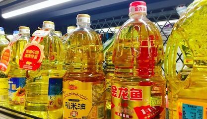 金龍魚家里擺放位置好嗎：金龍魚的擺放位置 金龍魚家里擺放位置好嗎：金龍魚的擺放位置 龍魚百科 第3張