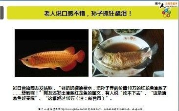 龍魚口感怎樣描述的，龍魚的口感可以用鮮美、嫩滑、韌性和韌性和清爽來描述