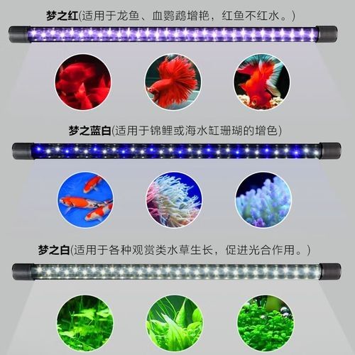 龍魚專用燈管圖片大全大圖 龍魚專用燈管圖片大全大圖 龍魚百科 第1張
