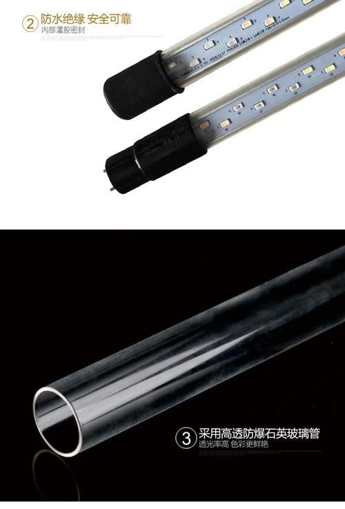 龍魚專用燈管圖片大全大圖 龍魚專用燈管圖片大全大圖 龍魚百科 第6張
