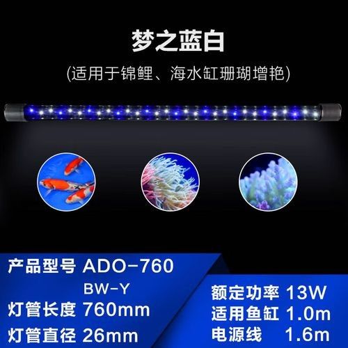 龍魚專用燈管圖片大全大圖 龍魚專用燈管圖片大全大圖 龍魚百科 第4張