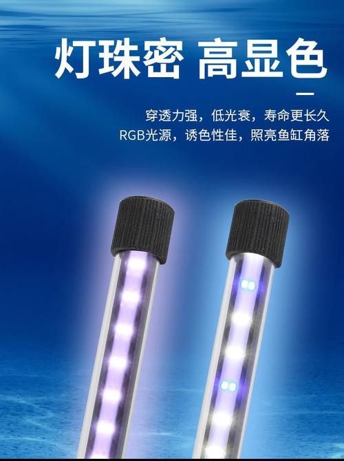 龍魚專用燈管圖片大全大圖 龍魚專用燈管圖片大全大圖 龍魚百科 第14張