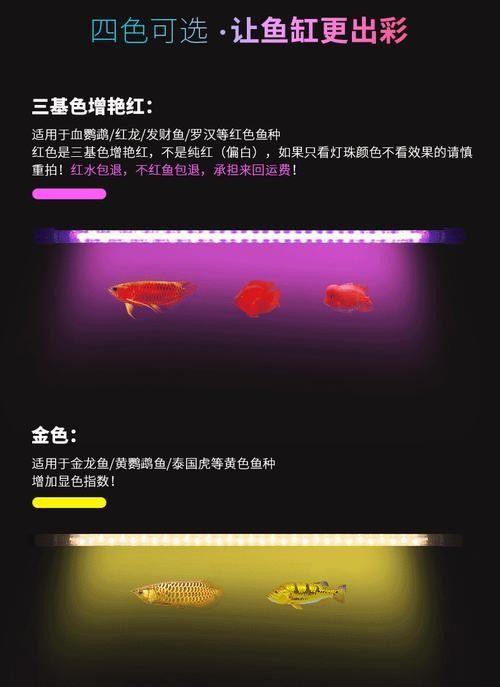 龍魚專用燈管圖片大全大圖 龍魚專用燈管圖片大全大圖 龍魚百科 第10張