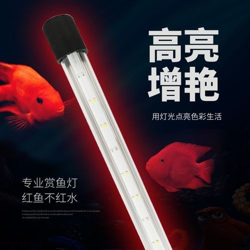 龍魚專用燈管圖片大全大圖 龍魚專用燈管圖片大全大圖 龍魚百科 第13張