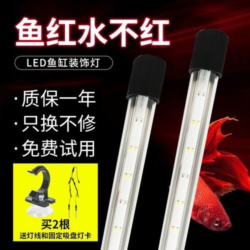 龍魚專用燈管圖片大全大圖 龍魚專用燈管圖片大全大圖 龍魚百科 第15張