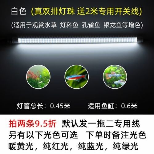 龍魚專用燈管圖片大全大圖 龍魚專用燈管圖片大全大圖 龍魚百科 第9張