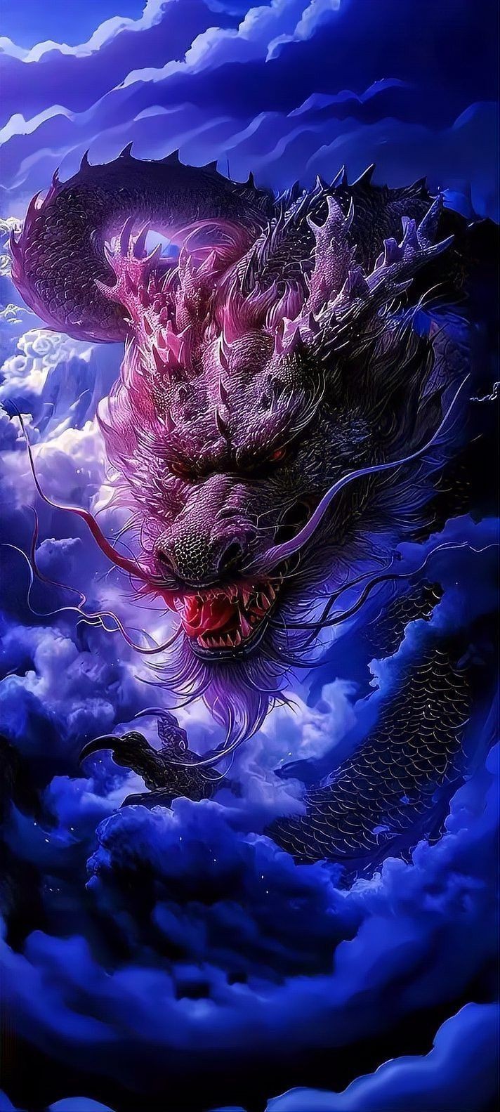 有沒有龍的壁紙模板？ 有沒有龍的壁紙模板？ 龍魚百科 第2張