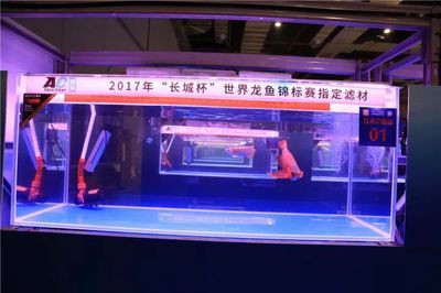 2017年長城杯龍魚總冠軍：2017年長城杯龍魚錦標賽總冠軍龍魚總冠軍龍魚錦標賽總冠軍