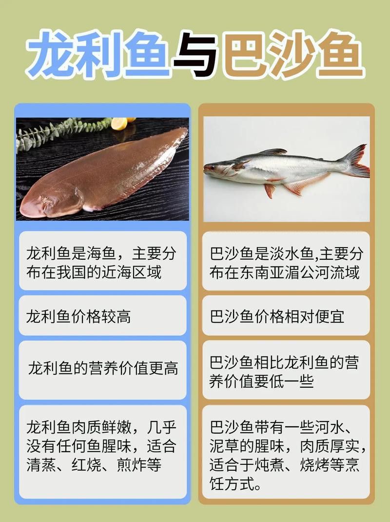 如何辨別龍利魚是否新鮮？ 如何辨別龍利魚是否新鮮？ 龍魚百科 第5張