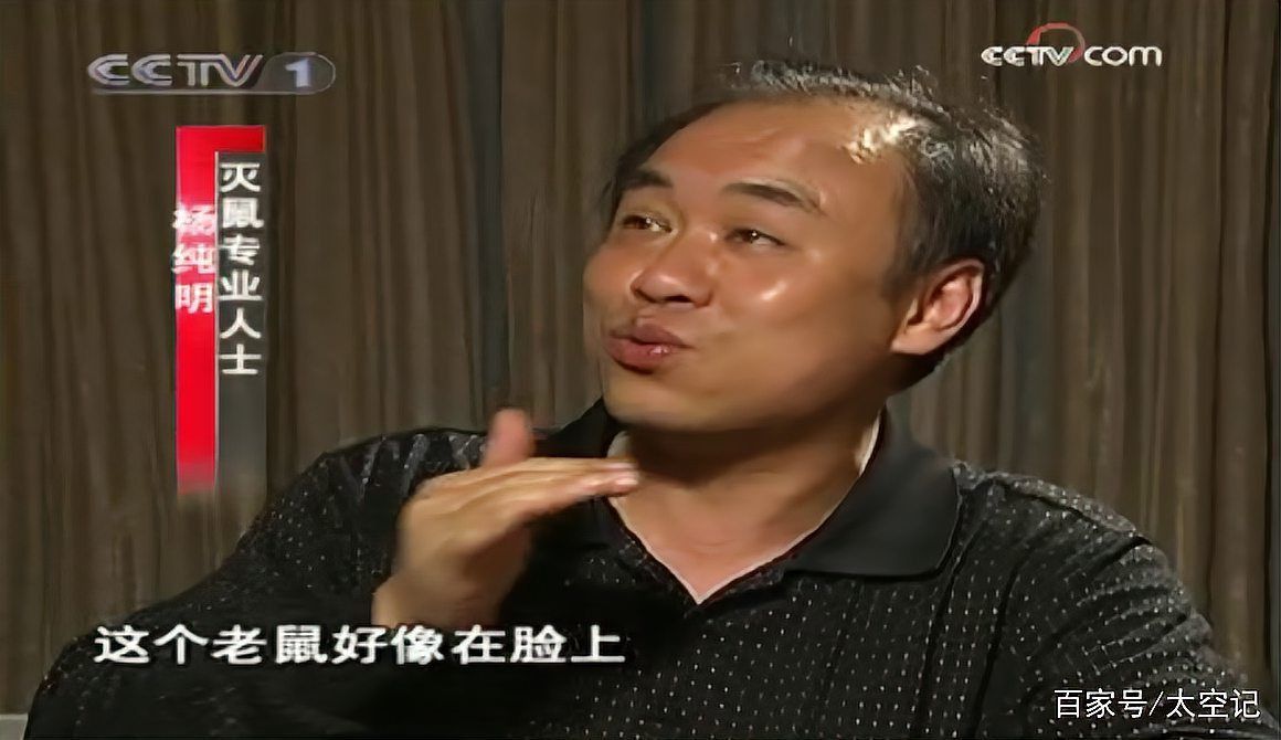 老鼠有靈性嗎 會(huì)復(fù)仇嗎