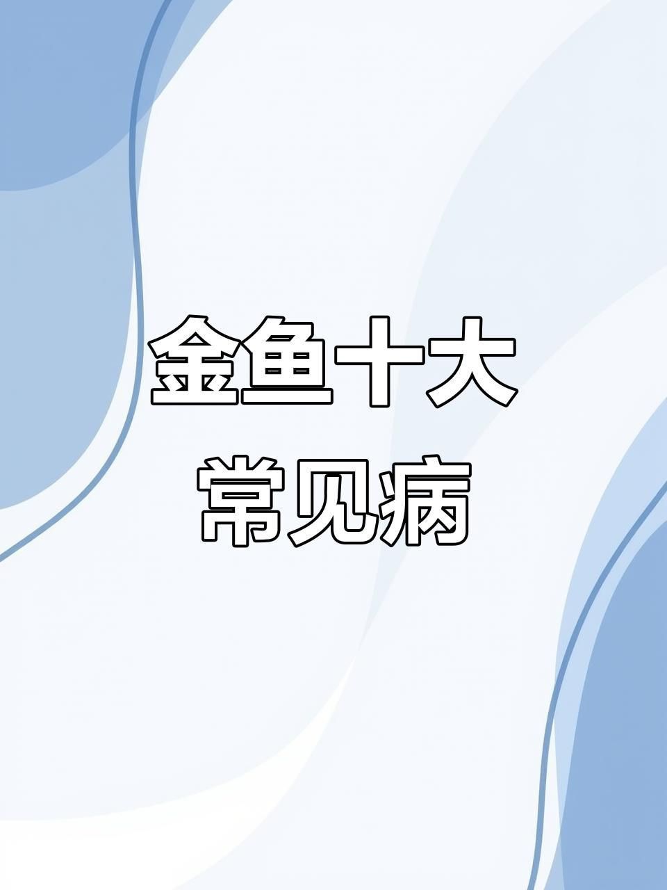 蝶尾金魚有哪些常見疾病