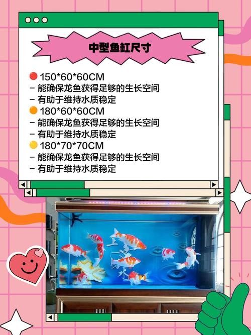 銀龍魚適合多大的缸