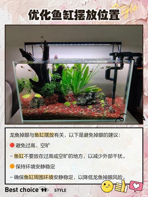 金龍魚掉眼能自己恢復嗎圖片視頻