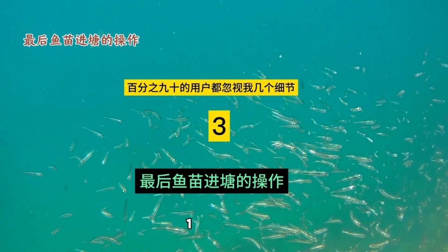 網(wǎng)購魚苗的運(yùn)輸方式有哪些