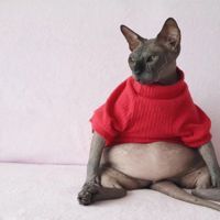 魚身上鱗片脫落身上潰爛怎么辦 龍魚百科 第2張 魚身上鱗片脫落身上潰爛怎么辦 魚身上鱗片脫落身上潰爛怎么辦 龍魚百科 第2張