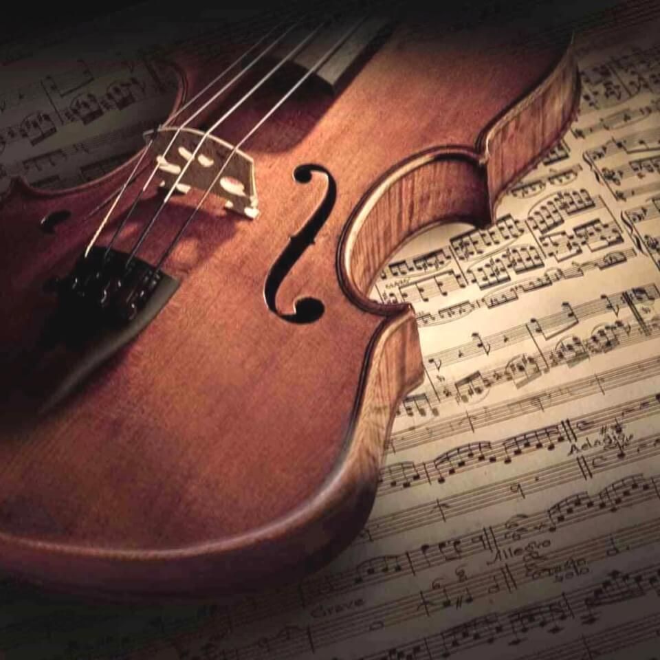 魚身上鱗片脫落身上潰爛怎么辦 龍魚百科 第19張 魚身上鱗片脫落身上潰爛怎么辦 魚身上鱗片脫落身上潰爛怎么辦 龍魚百科 第19張