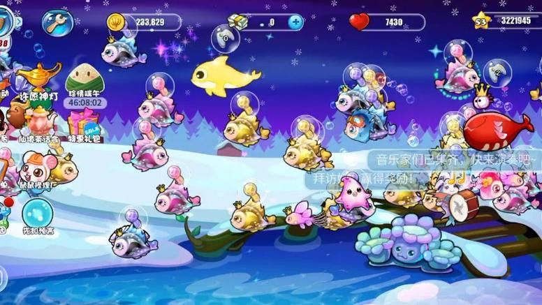 開心水族箱劍龍魚 開心水族箱劍龍魚 龍魚百科 第2張