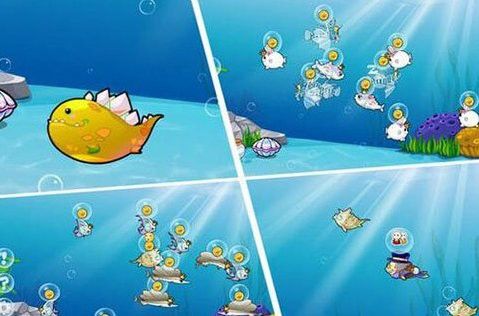 開心水族箱劍龍魚 開心水族箱劍龍魚 龍魚百科 第6張