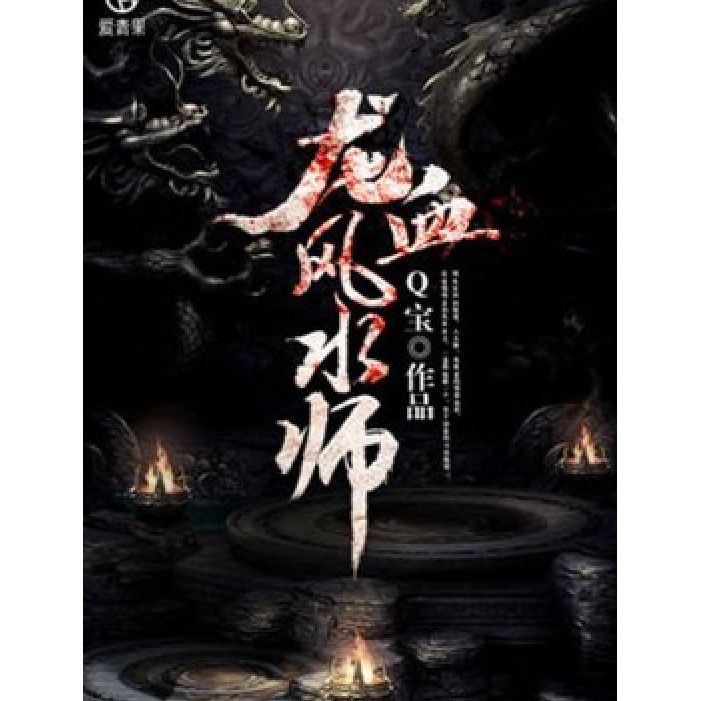 《龍血風水師》的情節簡介