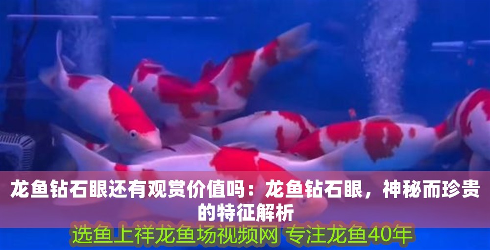 龍魚鉆石眼還有觀賞價值嗎：龍魚鉆石眼，神秘而珍貴的特征解析