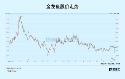金龍魚的估值走勢圖表（金龍魚歷史股價走勢分析：市值變動趨勢金龍魚市值變動趨勢） 金龍魚的估值走勢圖表（金龍魚歷史股價走勢分析：市值變動趨勢金龍魚市值變動趨勢） 龍魚百科 第5張