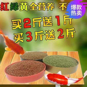 龍魚喂金魚好嗎怎么喂養：龍魚和金魚并不適合混養，怎么喂養