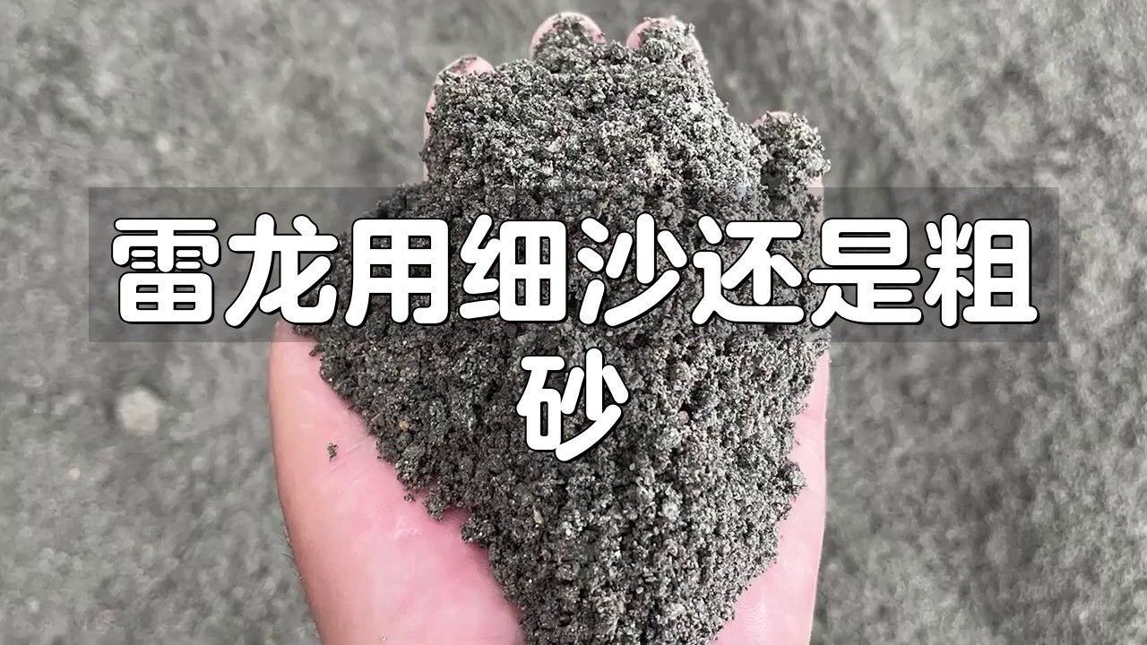 養雷龍魚用什么沙