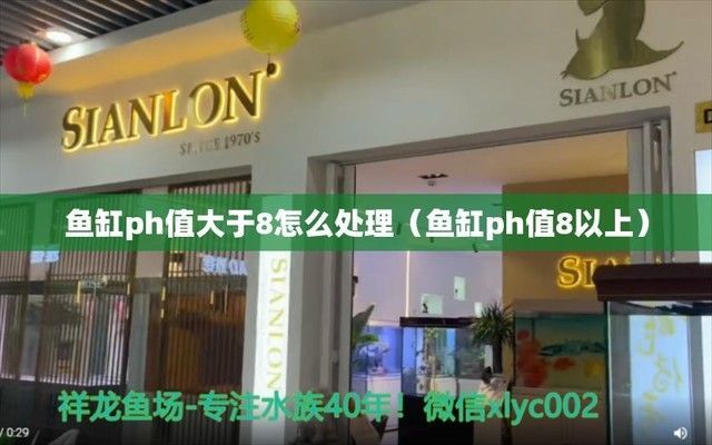龍魚ph值太低怎么辦：如何處理龍魚水體ph值過低