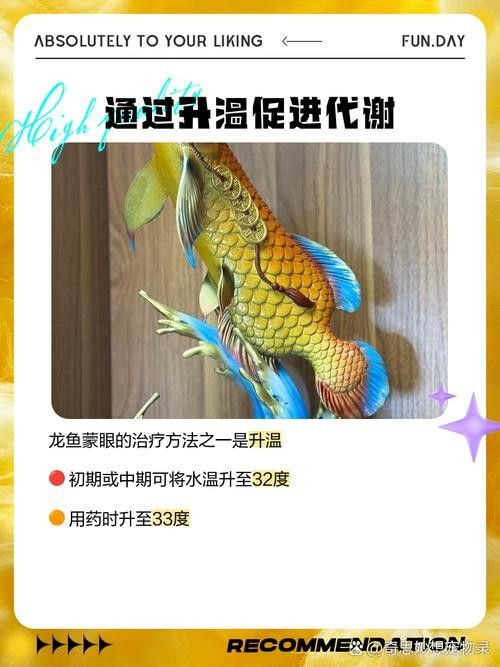 龍魚蒙眼能治好嗎圖片