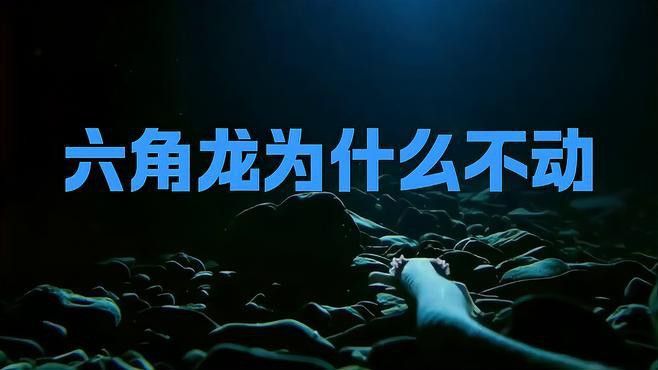 六角龍魚如何過冬