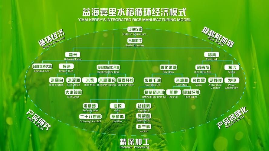 金龍魚高端系列有哪些特點