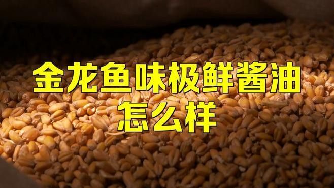 金龍魚高端系列有哪些特點