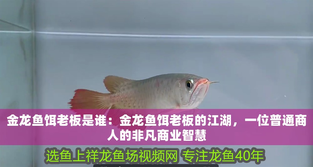 金龍魚餌老板是誰：金龍魚餌老板的江湖，一位普通商人的非凡商業(yè)智慧