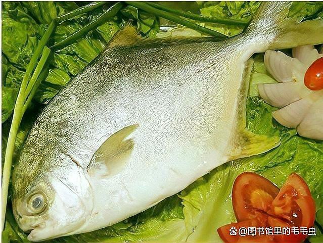 如何檢測龍魚是否攝入非法添加劑？