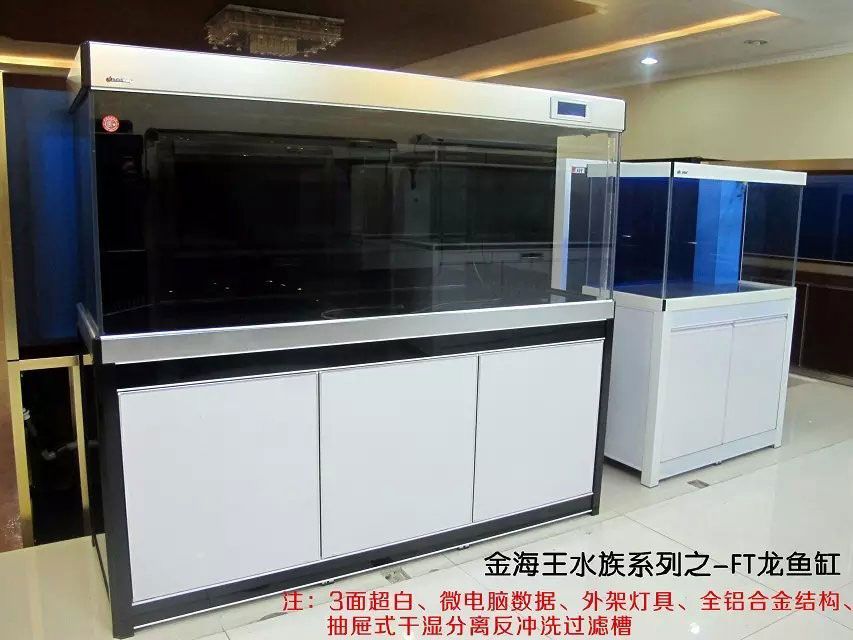 龍魚缸十大名牌排行榜最新：2024年最新的龍魚缸十大名牌排行榜