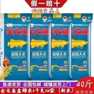 龍魚配什么魚好：適合與龍魚混養的魚類有哪些？
