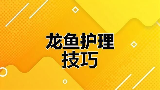 有哪些藥物可以幫助龍魚恢復？